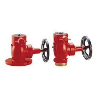 Globe Valve